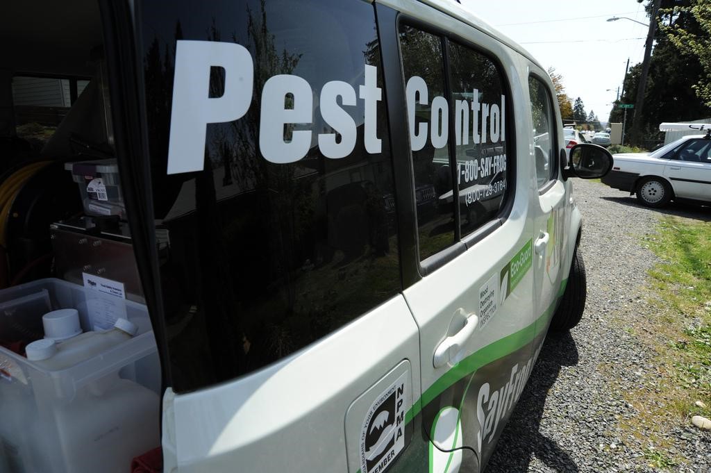 Do you live in one of the UK's most pest infested areas?