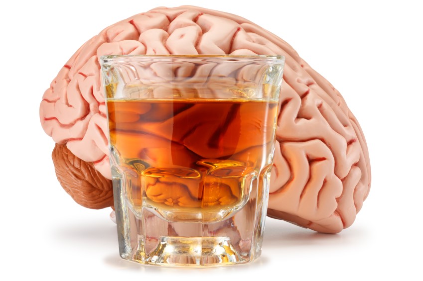 Things that alcohol does to the brain