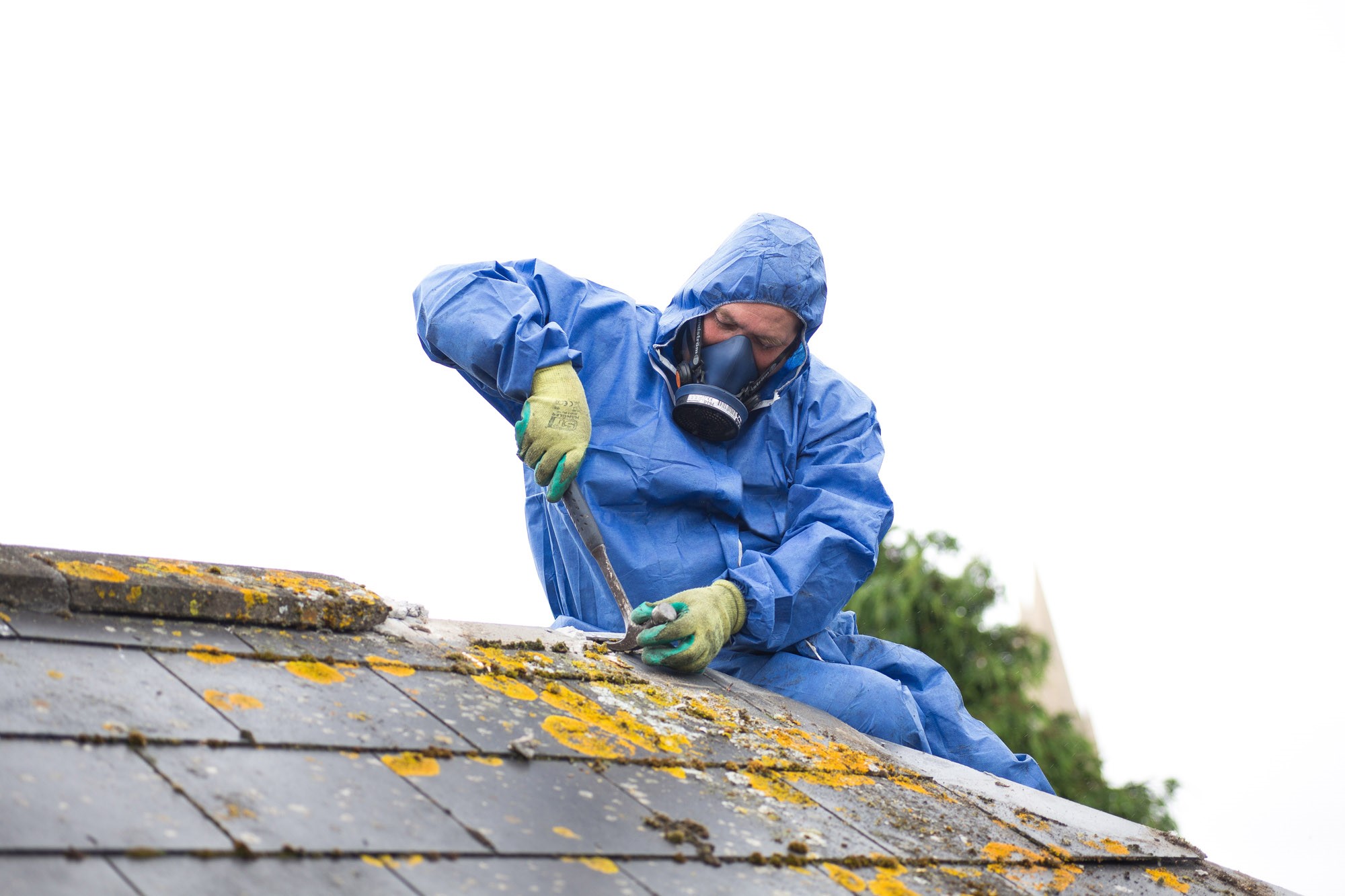 How to choose the right asbestos consultant?